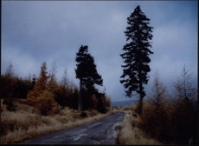 Konkurs miesiąca, grudzień 2005, wyróżnienie [Dokument ikonograficzny]