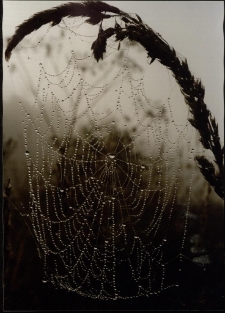 Konkurs miesiąca, październik 1996, miejsce 1 [Dokument ikonograficzny]