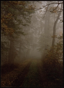 Konkurs miesiąca, listopad 1996, miejsce 3 [Dokument ikonograficzny]