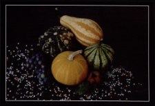 Konkurs miesiąca, styczeń 2011, wyróżnienie [Dokument ikonograficzny]