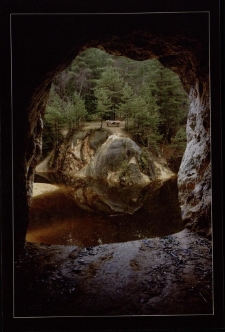 Konkurs miesiąca, luty 2011, miejsce 1 [Dokument ikonograficzny]