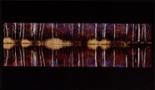 Konkurs miesiąca, kwiecień 2011, wyr&oacute;żnienie [Dokument ikonograficzny]