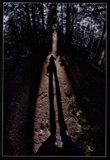 Konkurs miesiąca, lipiec 2011, miejsce 1 [Dokument ikonograficzny]