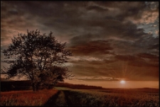 Konkurs miesiąca, lipiec 2011, miejsce 3 [Dokument ikonograficzny]