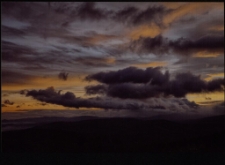 Konkurs miesiąca, listopad 2011, wyr&oacute;żnienie [Dokument ikonograficzny]