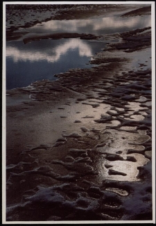 Konkurs miesiąca, grudzień 2011, miejsce 1 [Dokument ikonograficzny]