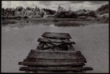 Konkurs miesiąca, styczeń 2012, miejsce 3 [Dokument ikonograficzny]