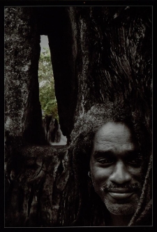 Konkurs miesiąca, styczeń 2012, wyr&oacute;żnienie [Dokument ikonograficzny]