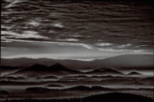 Konkurs miesiąca, styczeń 2012, wyr&oacute;żnienie [Dokument ikonograficzny]