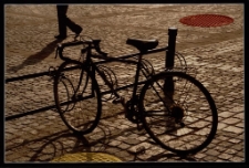 Konkurs miesiąca, luty 2012, miejsce 1 [Dokument ikonograficzny]