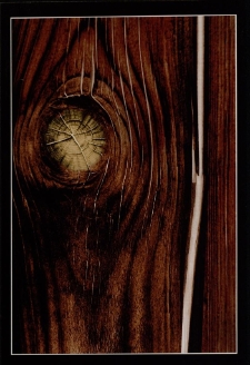 Konkurs miesiąca, luty 2012, wyr&oacute;żnienie [Dokument ikonograficzny]