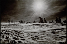 Konkurs miesiąca, marzec 2012, miejsce 1 [Dokument ikonograficzny]