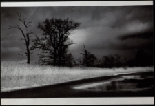 Konkurs miesiąca, kwiecień 2012, wyr&oacute;żnienie [Dokument ikonograficzny]