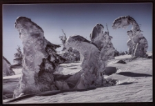 Konkurs miesiąca, sierpień 2012, wyr&oacute;żnienie [Dokument ikonograficzny]