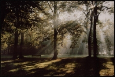 Konkurs miesiąca, wrzesień 2012, wyróżnienie [Dokument ikonograficzny]