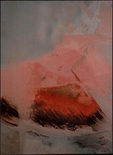 Konkurs miesiąca, czerwiec 2012, wyr&oacute;żnienie [Dokument ikonograficzny]