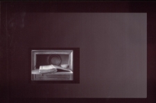 Konkurs miesiąca, październik 2012, miejsce 2 [Dokument ikonograficzny]