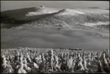 Konkurs miesiąca, luty 2013, miejsce 2 [Dokument ikonograficzny]