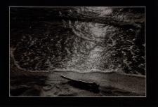 Konkurs miesiąca, luty 2013, wyróżnienie [Dokument ikonograficzny]