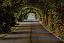 Konkurs miesiąca, lipiec 2013, wyr&oacute;żnienie [Dokument ikonograficzny]