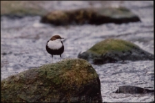 Konkurs miesiąca, lipiec 2013, wyr&oacute;żnienie [Dokument ikonograficzny]