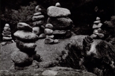 Konkurs miesiąca, styczeń 2014, wyróżnienie [Dokument ikonograficzny]