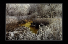 Konkurs miesiąca, luty 2014, miejsce 1 [Dokument ikonograficzny]