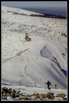 Konkurs miesiąca, luty 2014, wyróżnienie [Dokument ikonograficzny]