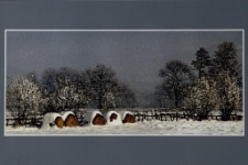 Konkurs miesiąca, luty 2014, wyr&oacute;żnienie [Dokument ikonograficzny]