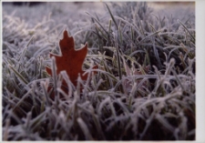 Konkurs miesiąca, marzec 2014, wyr&oacute;żnienie [Dokument ikonograficzny]
