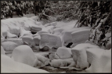 Konkurs miesiąca, kwiecień 2014, wyróżnienie [Dokument ikonograficzny]