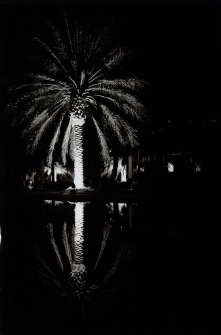 Konkurs miesiąca, kwiecień 2014, wyróżnienie [Dokument ikonograficzny]