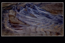 Konkurs miesiąca, czerwiec 2014, wyróżnienie [Dokument ikonograficzny]