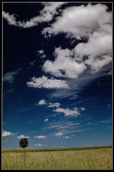 Konkurs miesiąca, sierpień 2014, wyróżnienie [Dokument ikonograficzny]