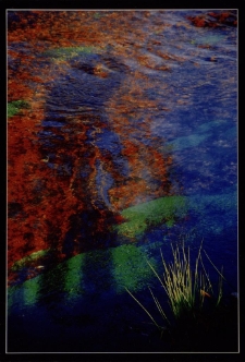 Konkurs miesiąca, wrzesień 2014, miejsce 2 [Dokument ikonograficzny]