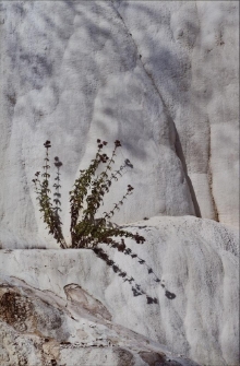 Konkurs miesiąca, wrzesień 2014, wyróżnienie [Dokument ikonograficzny]