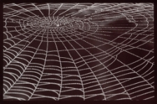 Konkurs miesiąca, październik 2014, miejsce 3 [Dokument ikonograficzny]