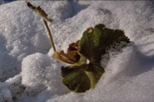 Konkurs miesiąca, październik 2014, wyróżnienie [Dokument ikonograficzny]