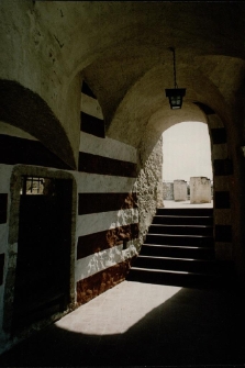 Konkurs miesiąca, grudzień 2014, miejsce 1 [Dokument ikonograficzny]