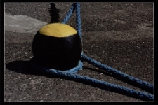 Konkurs miesiąca, styczeń 2014, miejsce 2 [Dokument ikonograficzny]