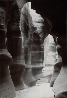 Konkurs miesiąca, styczeń 2015, miejsce 1 [Dokument ikonograficzny]