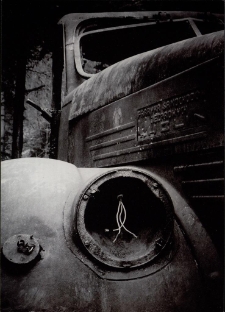 Konkurs miesiąca, luty 2015, wyr&oacute;żnienie [Dokument ikonograficzny]