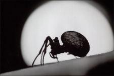 Konkurs miesiąca, maj 2015, wyr&oacute;żnienie [Dokument ikonograficzny]