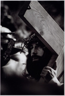 Konkurs miesiąca, czerwiec 2015, miejsce 3 [Dokument ikonograficzny]