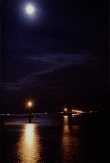 Konkurs miesiąca, sierpień 2015, wyróżnienie [Dokument ikonograficzny]