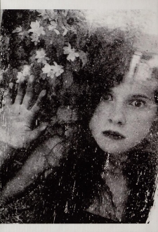 Konkurs miesiąca, listopad 2015, miejsce 3 [Dokument ikonograficzny]