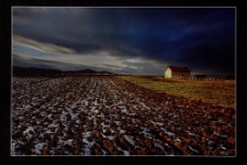 Konkurs miesiąca, listopad 2015, wyr&oacute;żnienie [Dokument ikonograficzny]