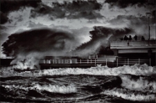 Konkurs miesiąca, listopad 2015, wyr&oacute;żnienie [Dokument ikonograficzny]