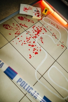 Festiwal Kryminału 2025 (fot.18) [Dokument ikonograficzny]