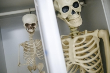 Festiwal Kryminału 2025 (fot.30) [Dokument ikonograficzny]